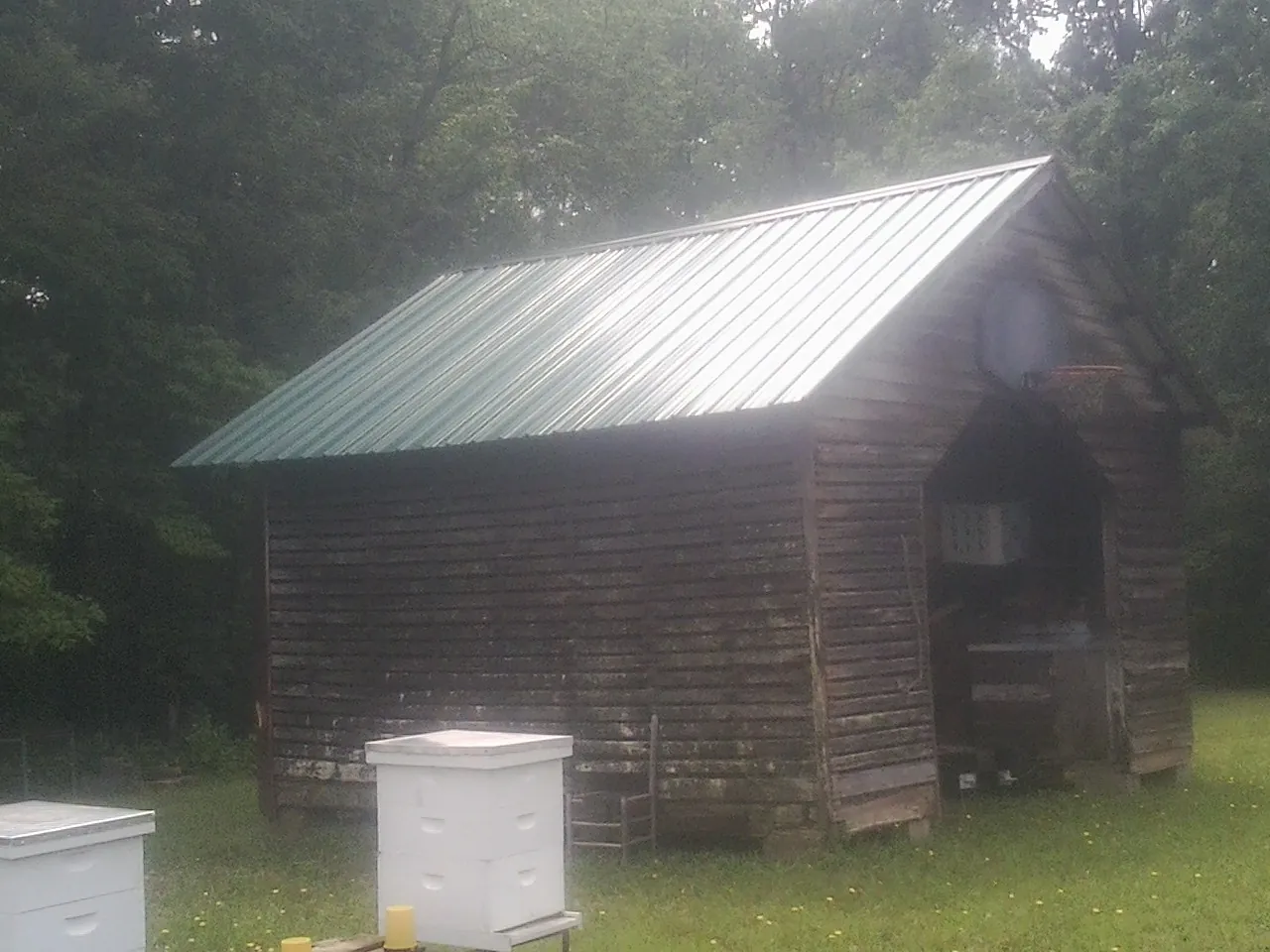 Green metal roof on a weathered barn beside stacked beehives in Harlingen